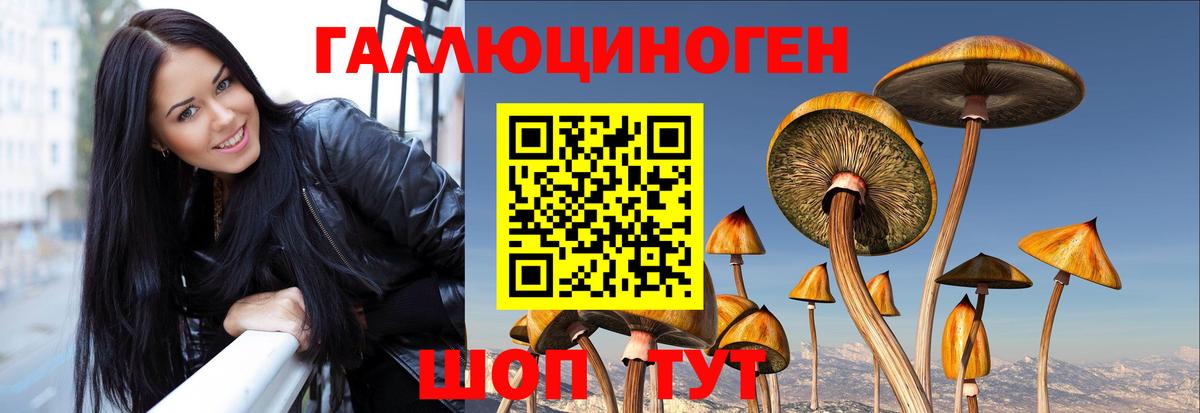 Пугачёв  Псилоцибиновые грибы ЛСД  Вход с VPN 