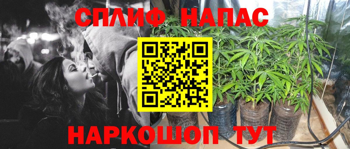 Конопля SATIVA & INDICA  Канабис тримм  Пугачёв  Канабис AK-47  Вход с VPN 